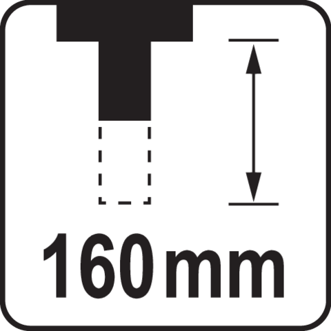 Pictogramă TOYA: Cursa pistonului: 160 mm